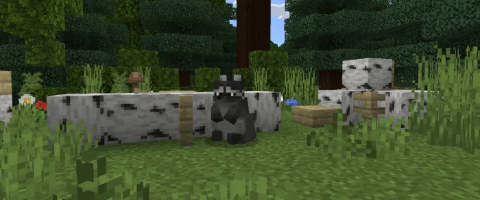 Raccoon: Screenshot
