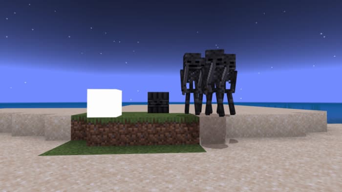 Wither Skeleton TNT: Screenshot