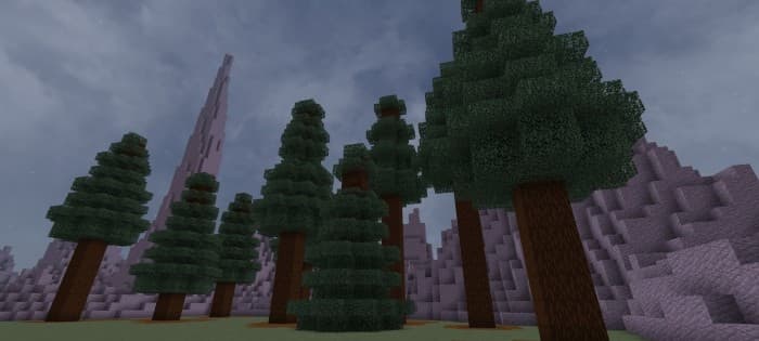 Dark Forest: Screenshot 2