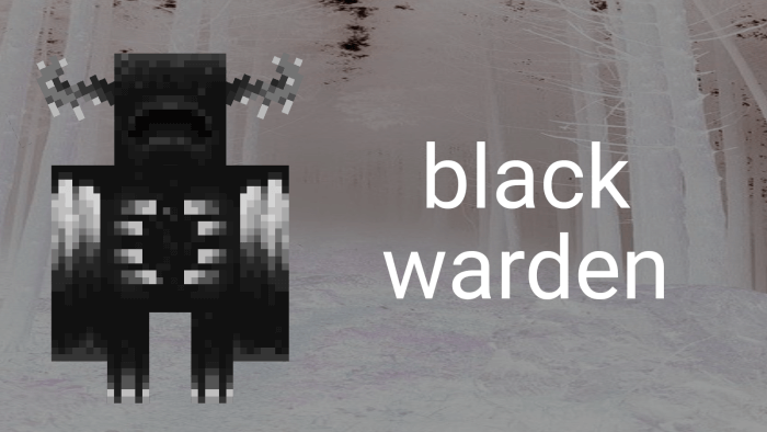 Black Warden