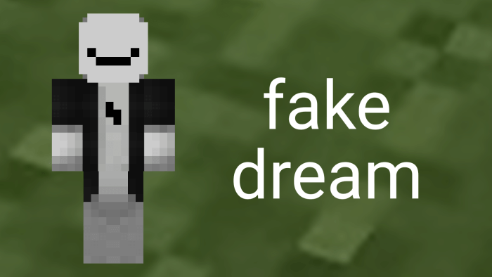 Fake Dream