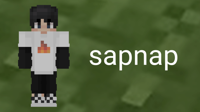 Sapnap