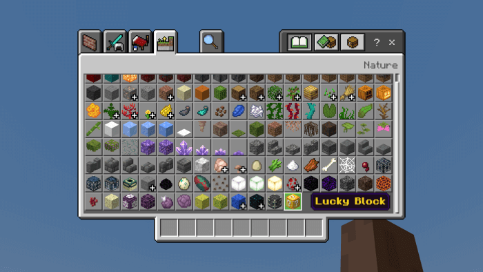 Lucky Block in the inventory