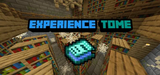 Experience Tome Cover