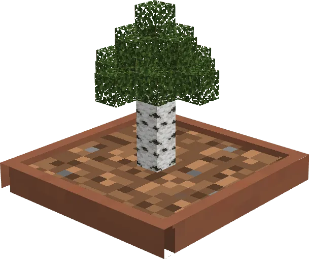 Birch Bonsai
