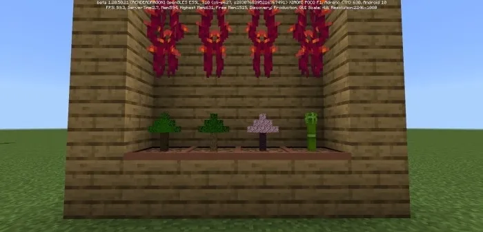 Bonsais: Screenshot 1