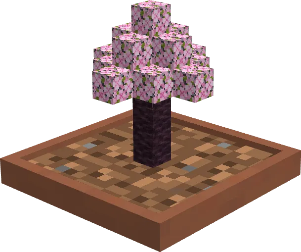 Cherry Bonsai