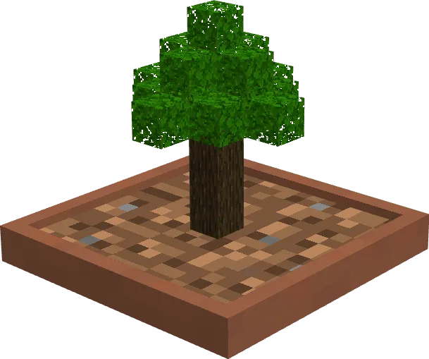 Dark Oak Bonsai