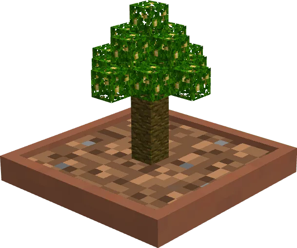 Jungle Bonsai