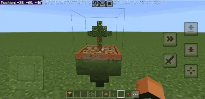 Bonsai Tree: Showcase 1