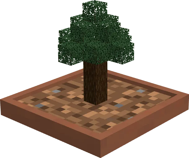 Spruce Bonsai