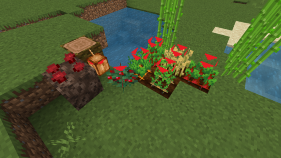 Thumbnail: Crop Growth Hint™ (by Sanjay Gamerz)