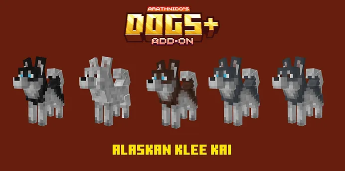 Alaskan Klee Ka Dogs