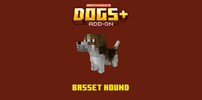 Basset Hound Dog