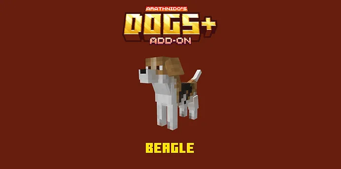 Beagle Dog