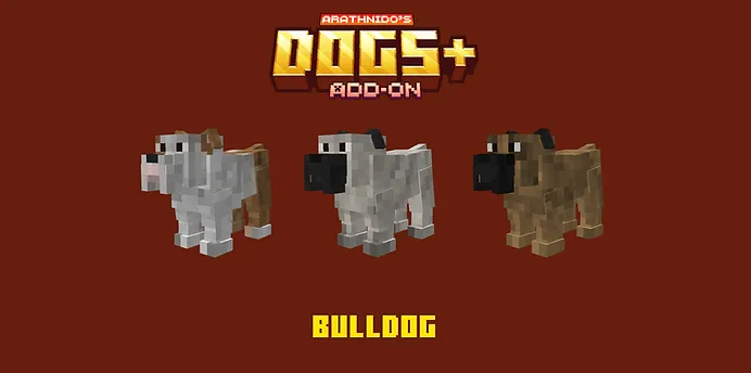 Bulldog Dogs