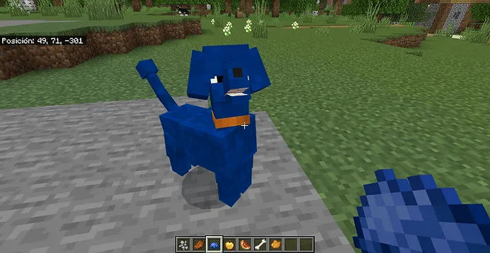 Colored Poodle Dog: Screenshot