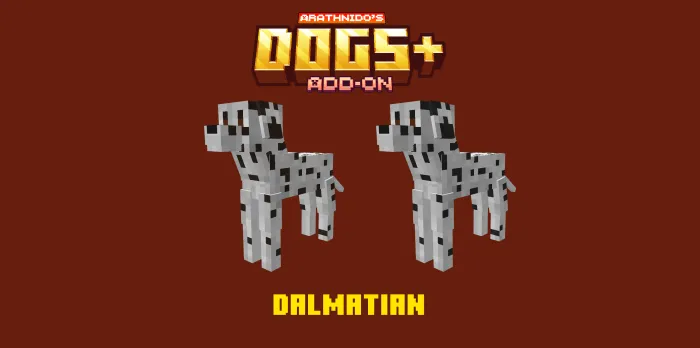 Dalmatian Dogs