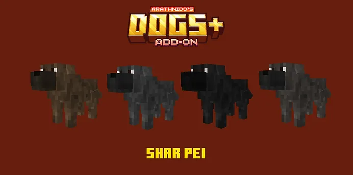 Shar Pei Dogs
