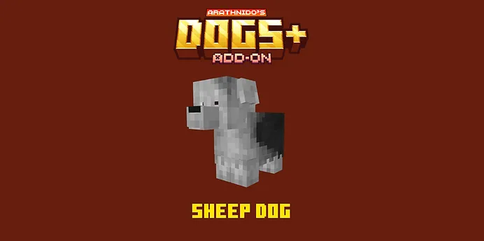Sheep Dog