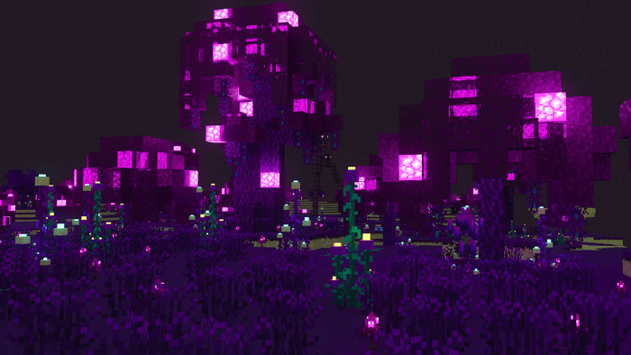 Enderite Addon with RTX: Screenshot 2