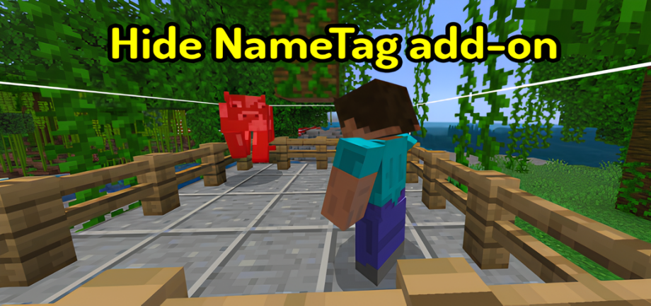 Thumbnail: Hide Name Tag Add-On (v1.3.0)