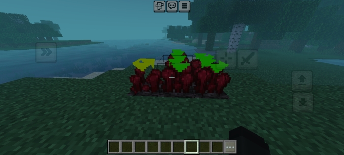 Nether Wart with Indicators: Screenshot