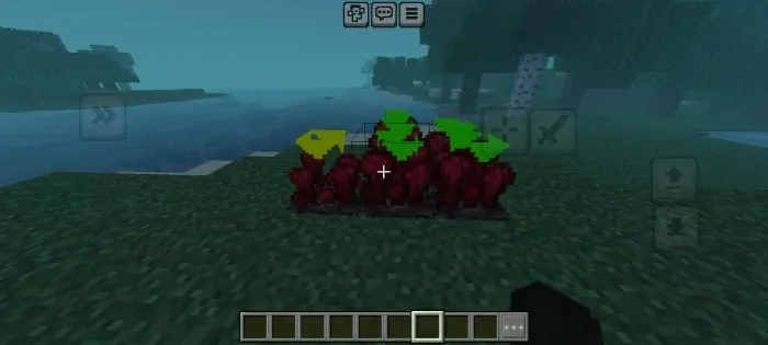 Nether Wart with Indicators: Screenshot