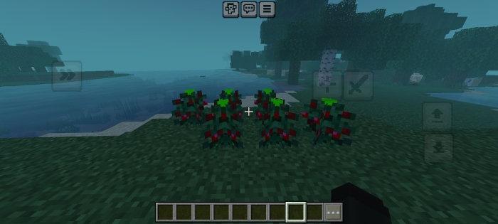 Sweet Berries with Indicators: Screenshot