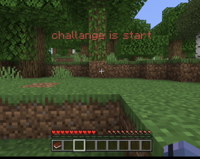 Minecraft tries to kill you every 60 seconds: Screenshot 3