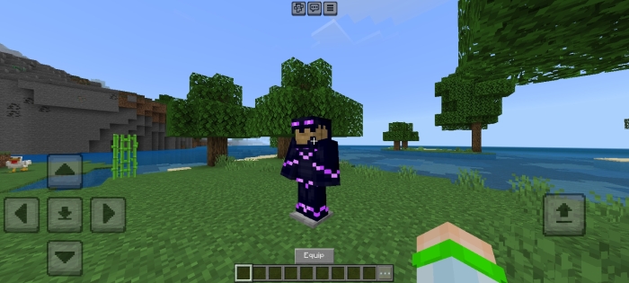 Enderman Armor: Screenshot