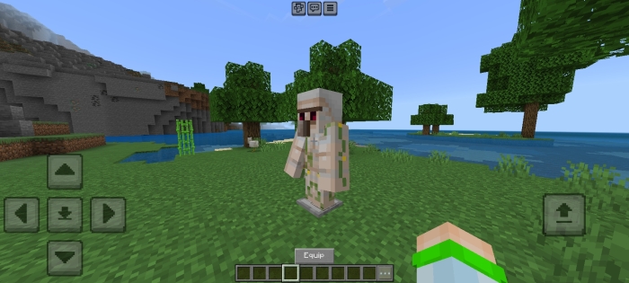 Iron Golem Armor: Screenshot