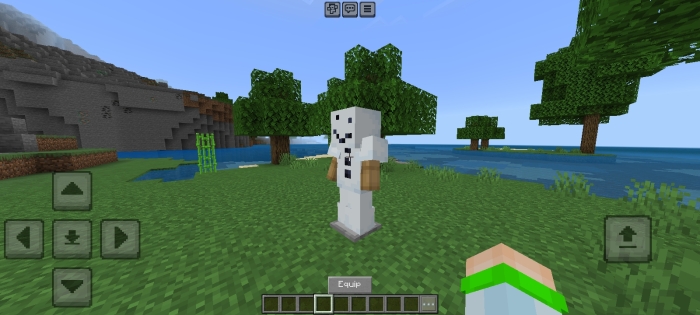 Snow Golem Armor: Screenshot