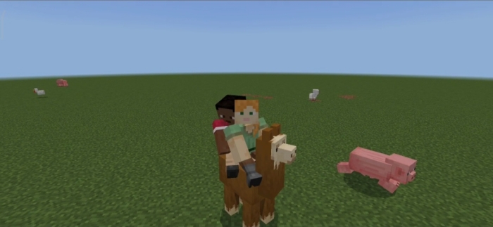 Players Riding a Llama: Screenshot