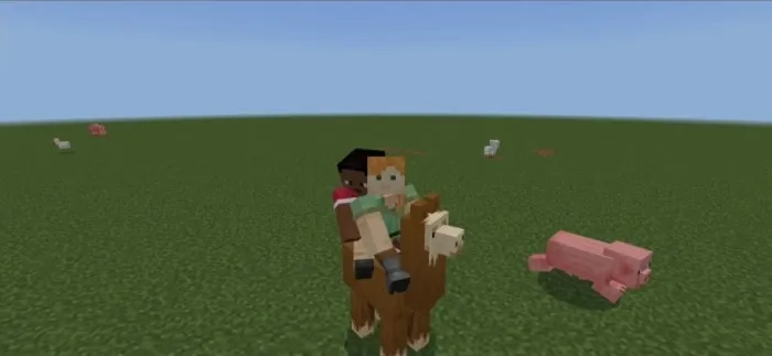 Players Riding a Llama: Screenshot