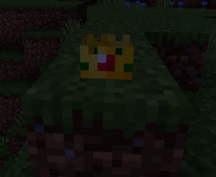 King Slime Trophy: Screenshot