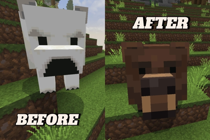 Polar Bear Texture: Before & After