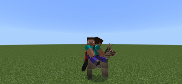 Players Riding a Donkey: Screenshot