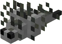 Coal Silverfish