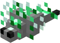 Emerald Silverfish