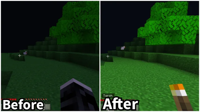 Dynamic Torch: Before and After