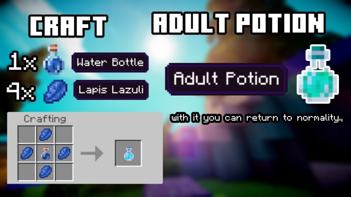 Aduly Potion Craft & Description