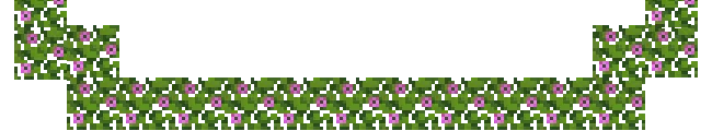 Bottom Border