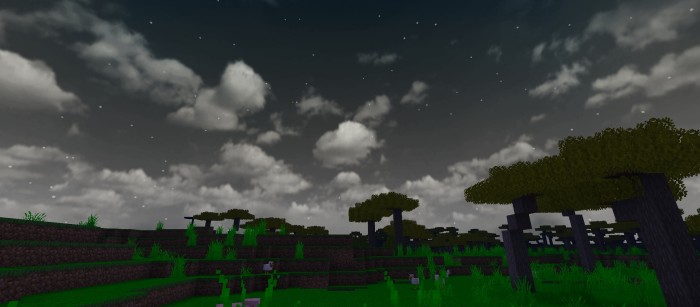 Night: Screenshot 1