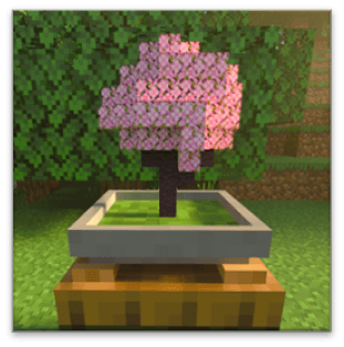 Grown Bonsai: Screenshot