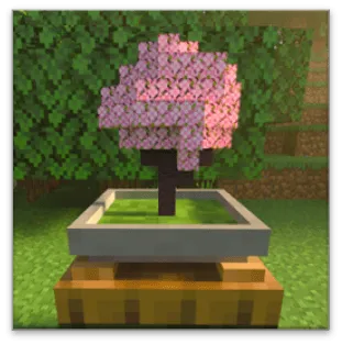 Grown Bonsai: Screenshot
