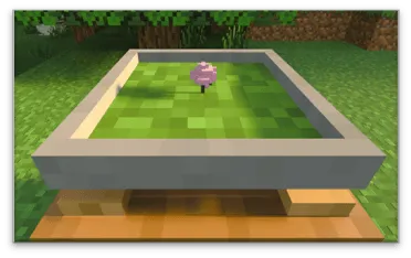 Planted Bonsai: Screenshot