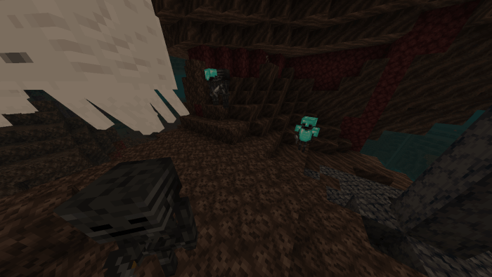 Wither Skeletons: Screenshot 2