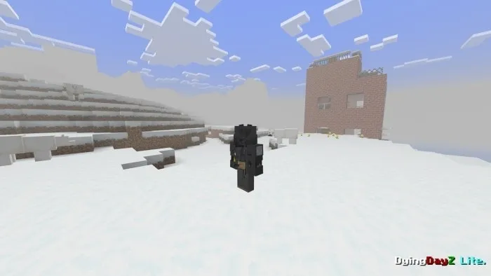 Gun on Player: Screenshot 3