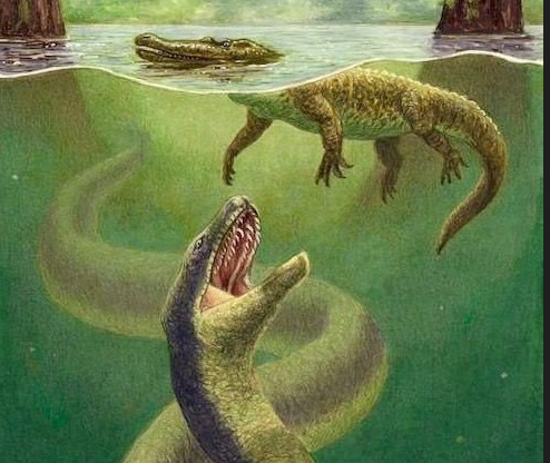 Titanoboa: Original